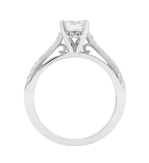 Stargazing Diamonds